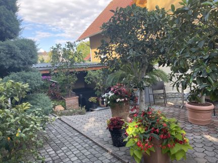 Sipos Villa21