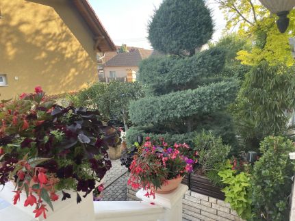Sipos Villa27