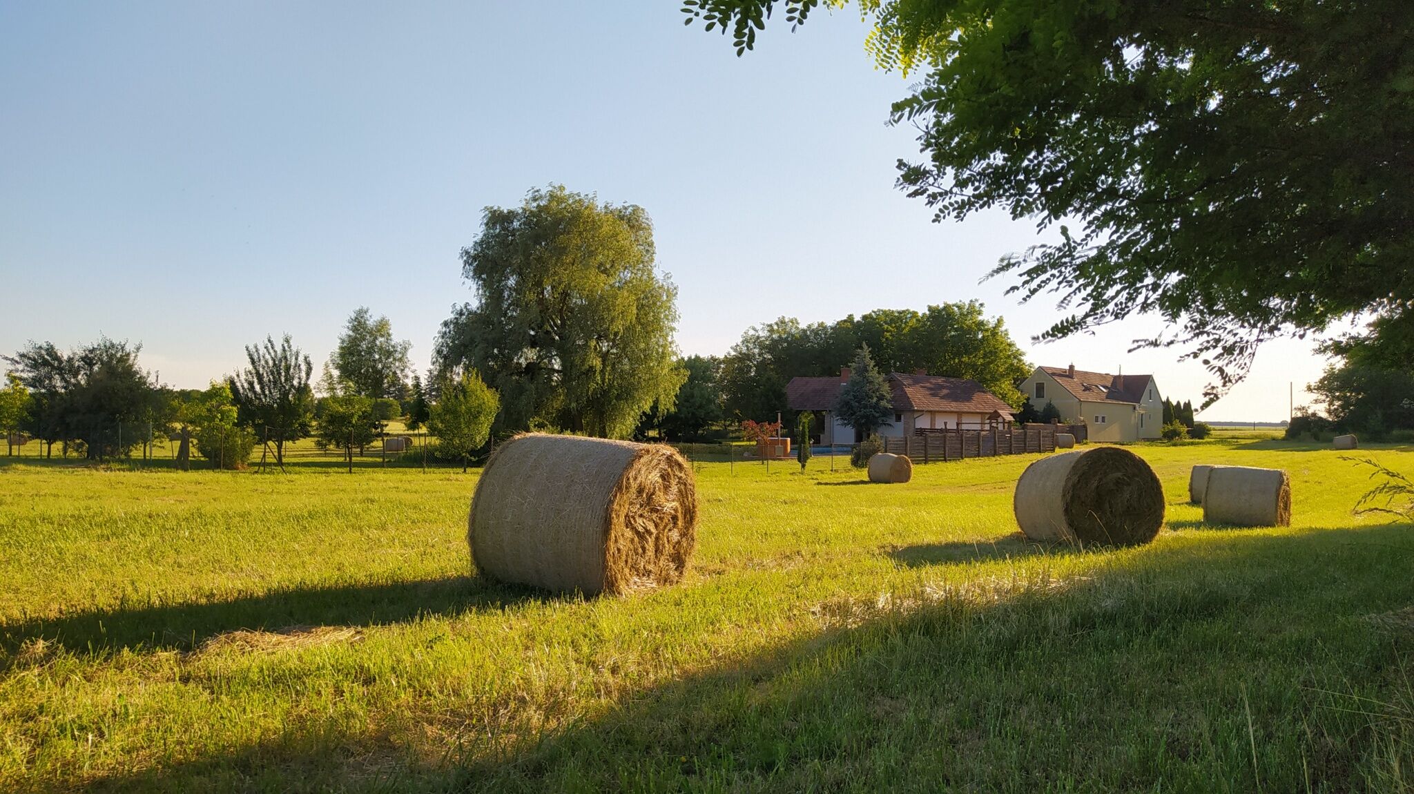 Tóthék Faluszéli Vendégháza – Szentkozmadombja fotó 23