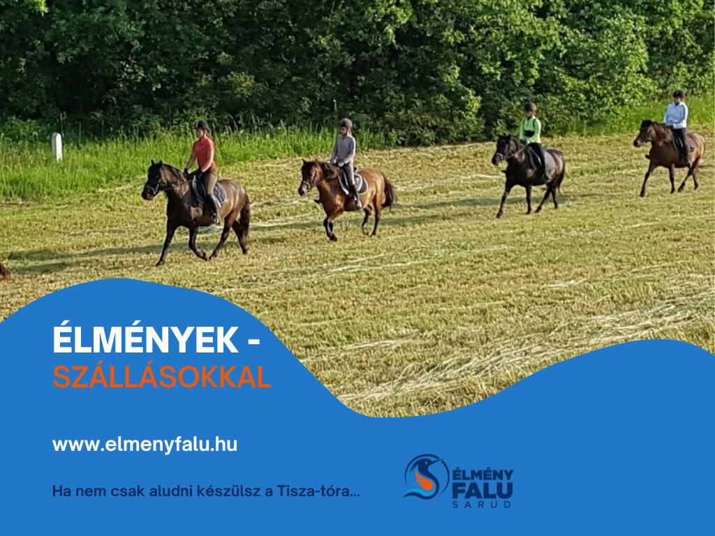 Kis kócsag ÉlményPorta – Sarud fotó 4