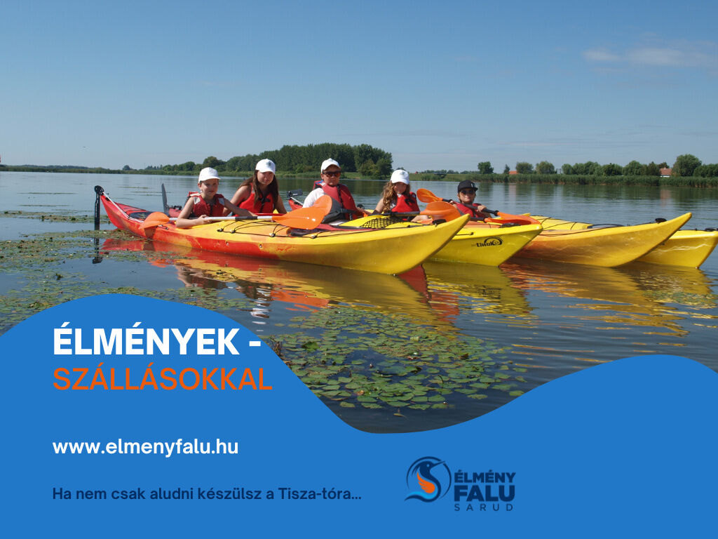 Kis kócsag ÉlményPorta – Sarud fotó 5
