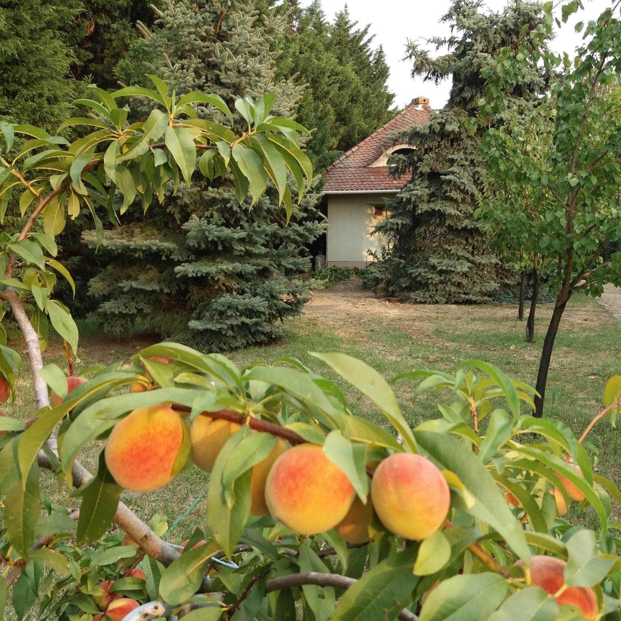 Teniszon-Lak – Szarvas fotó 17