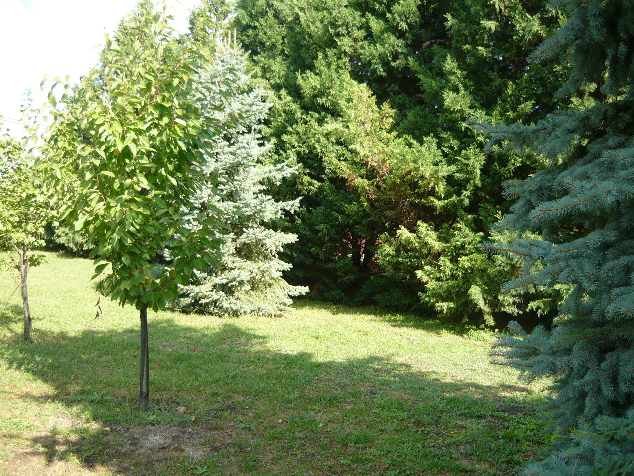 Teniszon-Lak – Szarvas fotó 18