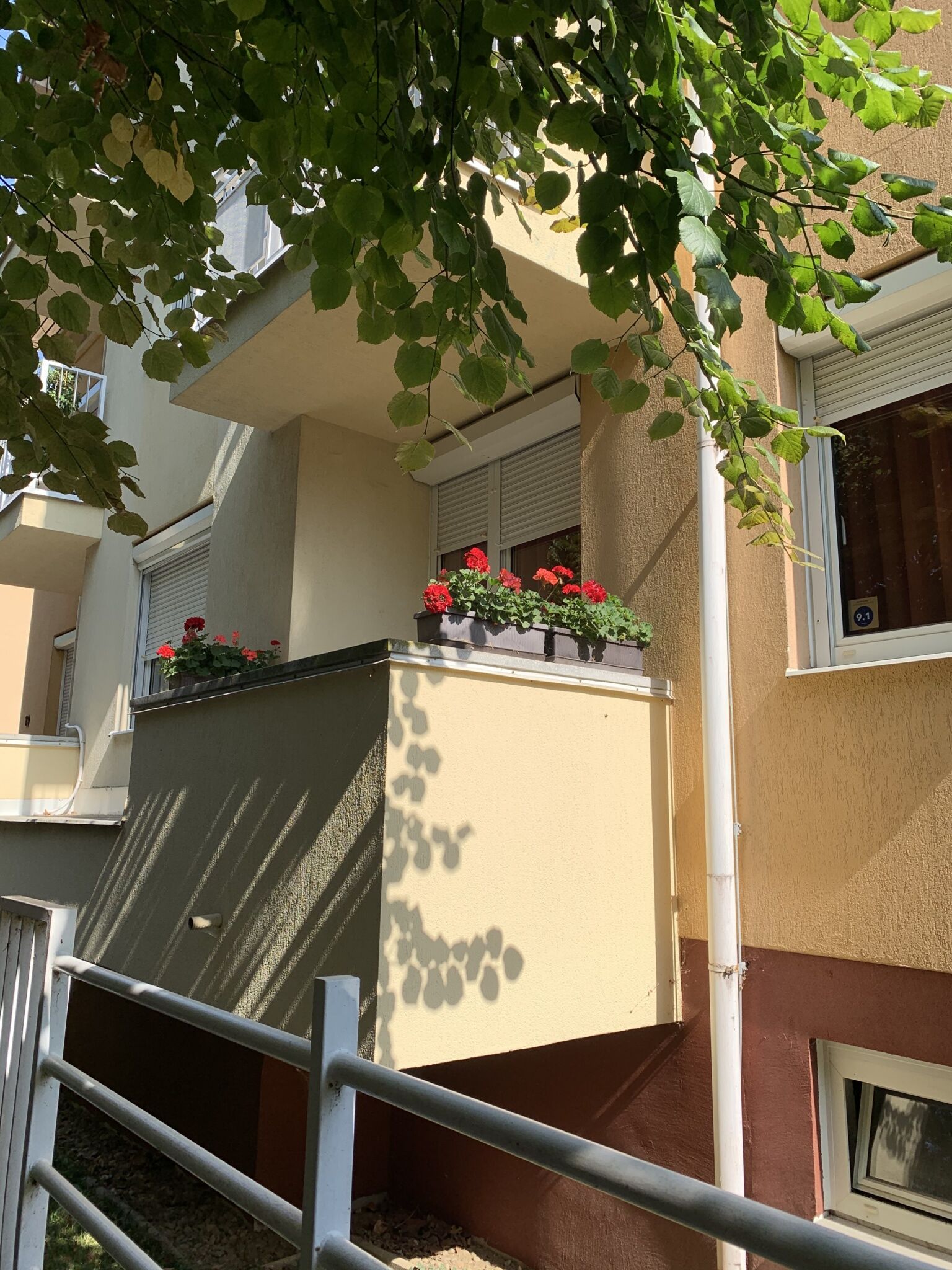 Kőnig Apartman – Hévíz fotó 1