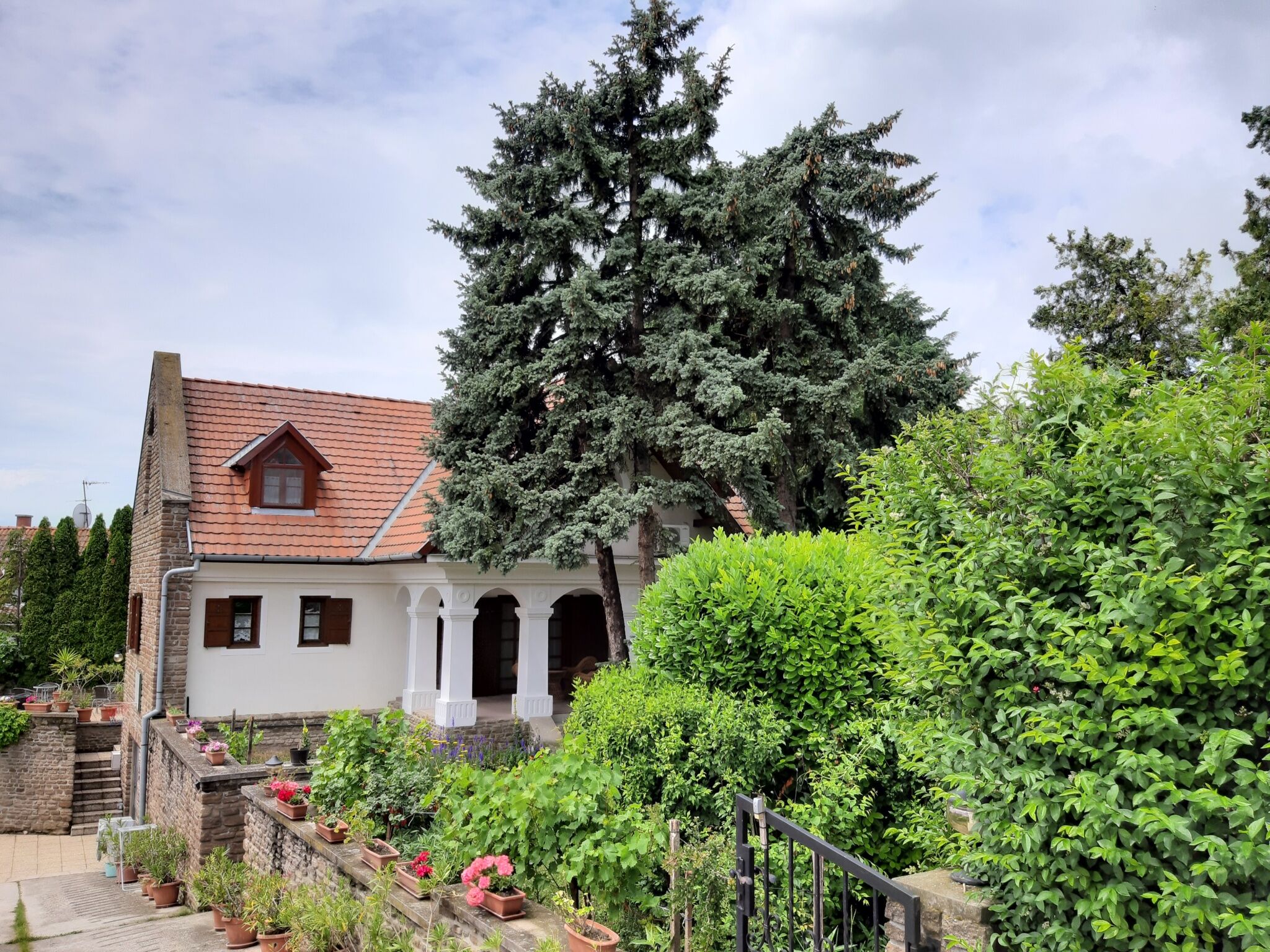 Katerina Vendégház Tihany – Tihany fotó 11