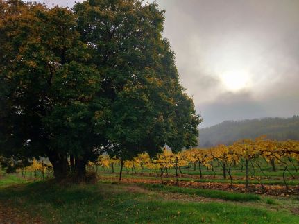 Revlanda Vendégház47