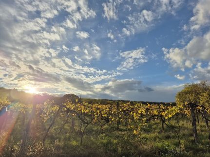 Revlanda Vendégház49