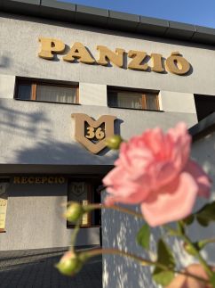 M36 Panzió9