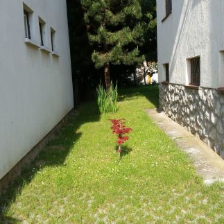 B&B Apartman18