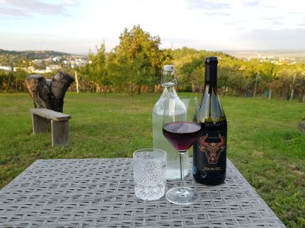 Panoráma Borlak Vendégház23