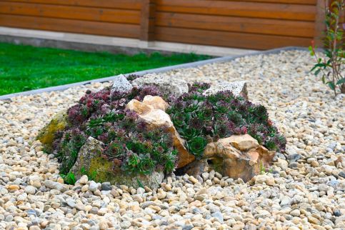 Ludas Vendégházak101