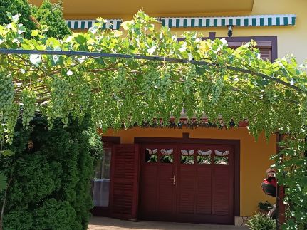 Anna-Ilona Apartman39