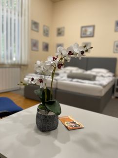 Belvárosi Apartman11