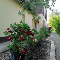 Perfekt Apartman