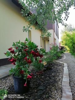 Perfekt Apartman