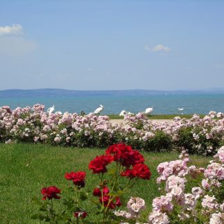 Som 119 Üdülőház13