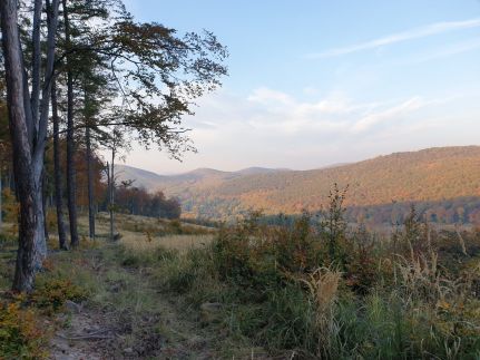 Kőrös-hegyi Fogadó és Baskói Tábor21