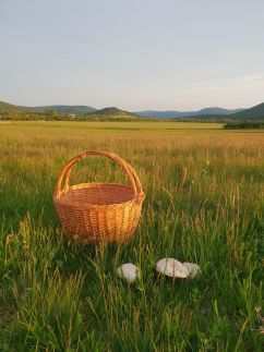 Kőrös-hegyi Fogadó és Baskói Tábor24