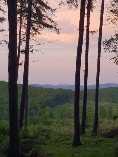 Kőrös-hegyi Fogadó és Baskói Tábor25