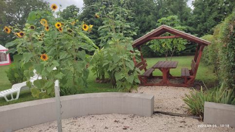 Vándortyúk Vendégház19