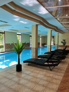 Dorina Wellness Apartmanok20