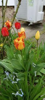 Csipke Vendégház Zsóry-fürdő35