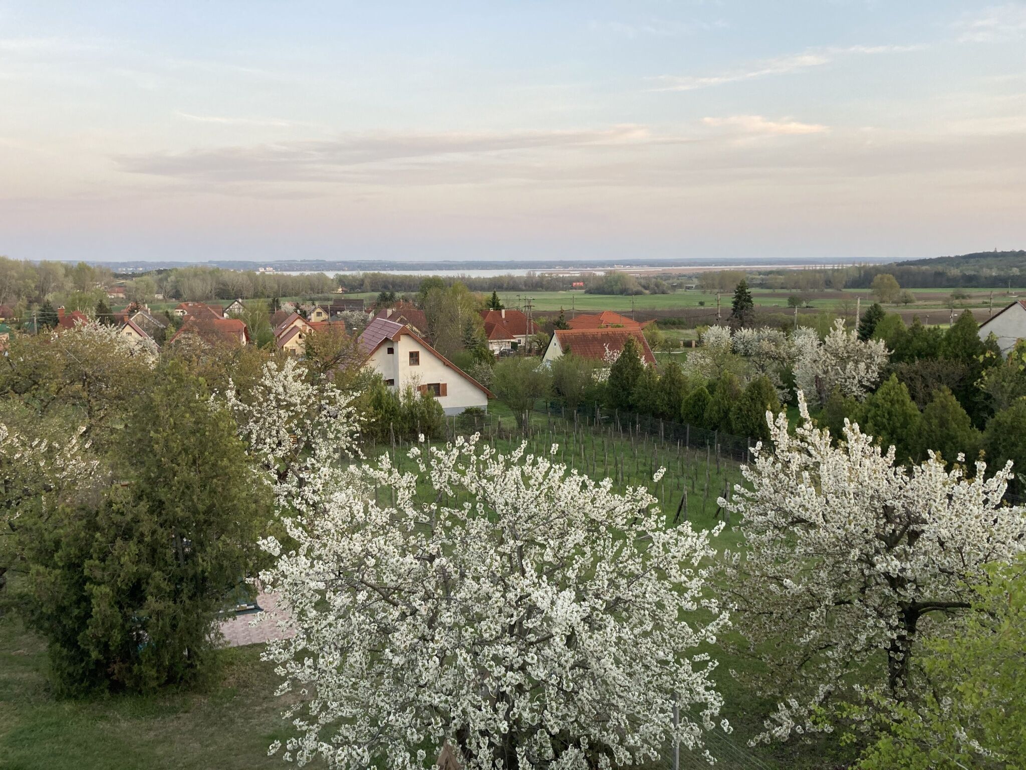 Dohár Üdülőház – Sukoró fotó 5