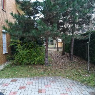 Janó Apartman4