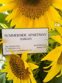 Summerside Apartman8