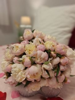 Albina Apartman27