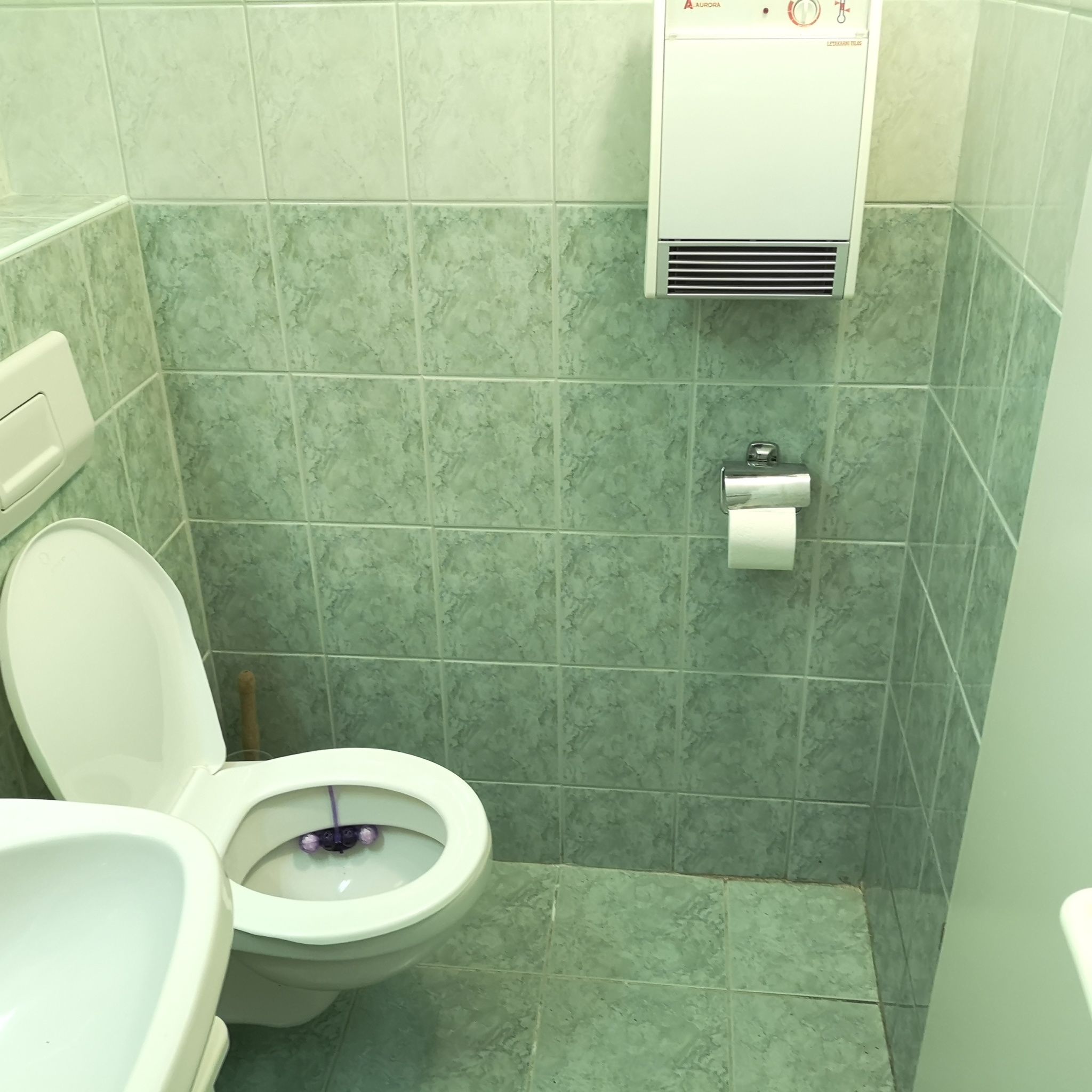 Árnyas Apartman – Balatonfüred fotó 4