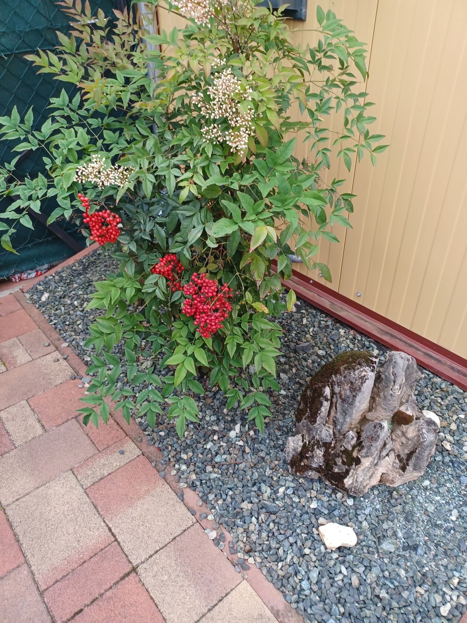 Tulipán Vendégház – Bükfürdő fotó 31