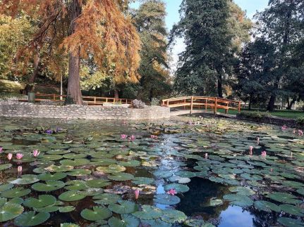 Mókus Apartman Miskolctapolca9