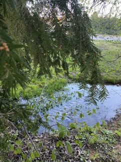 Flóra Apartman a Balatonnál29