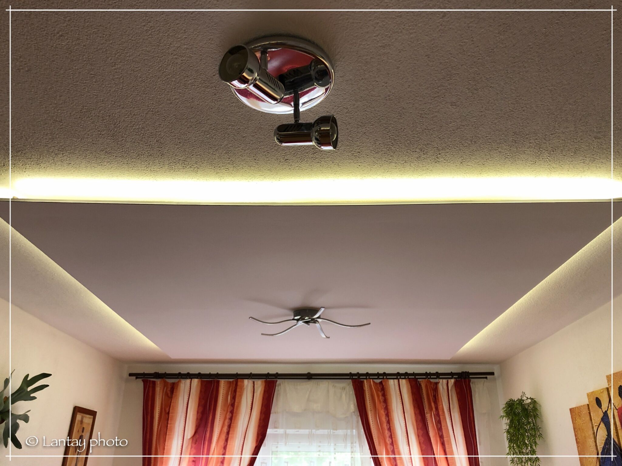 Csi - Pet Apartman – Kehidakustány fotó 31