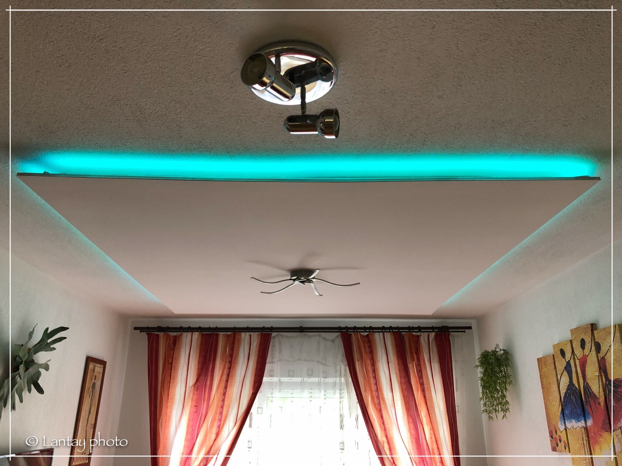 Csi - Pet Apartman – Kehidakustány fotó 35