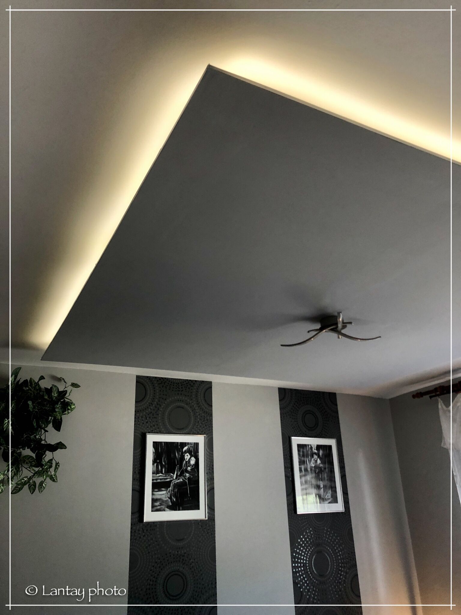 Csi - Pet Apartman – Kehidakustány fotó 43
