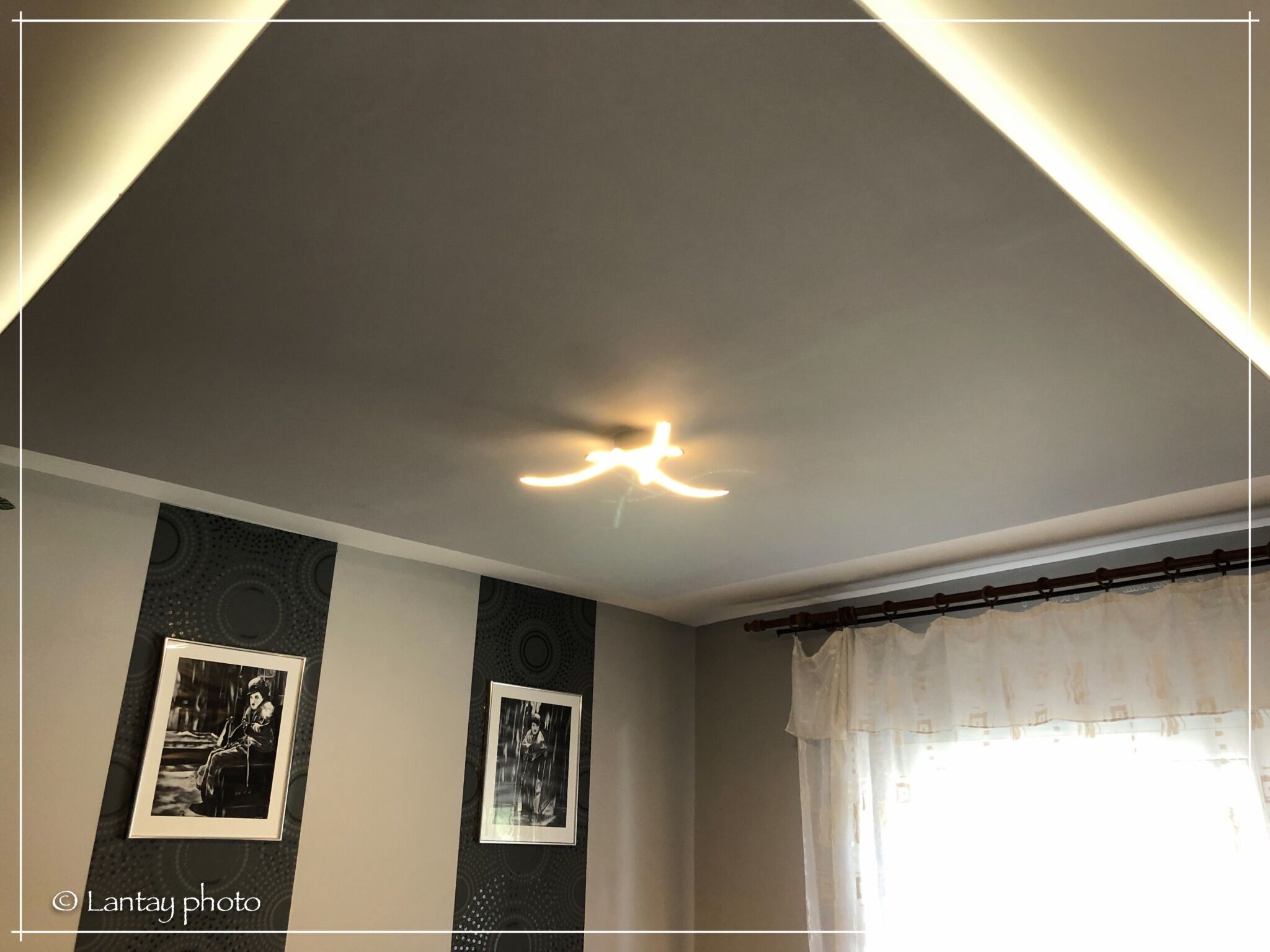 Csi - Pet Apartman – Kehidakustány fotó 44
