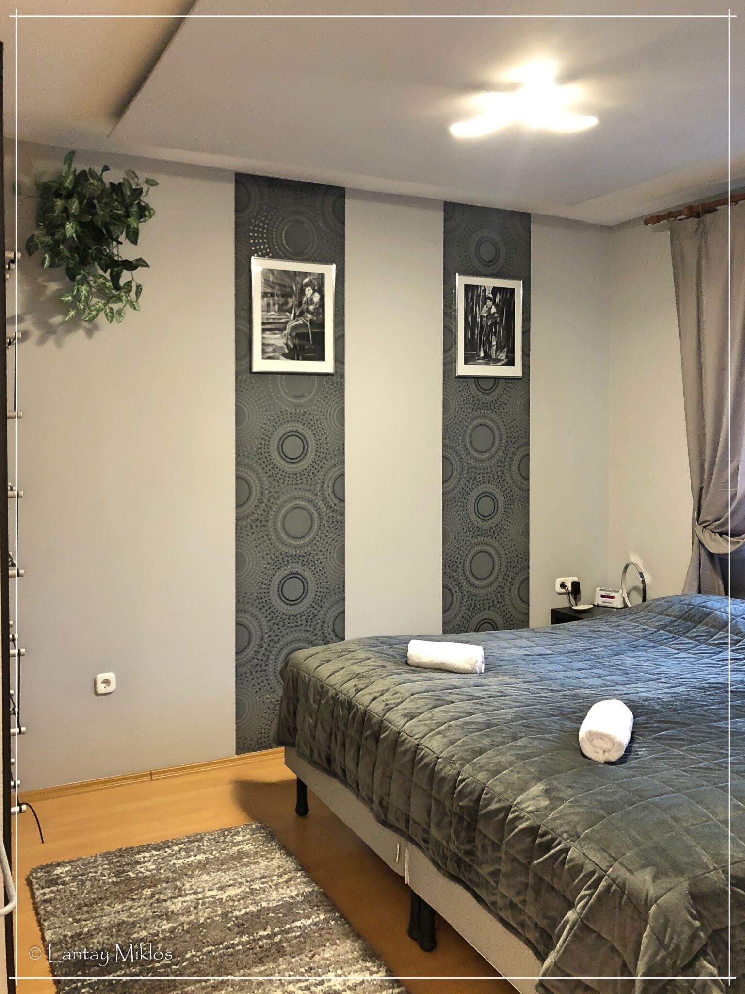 Csi - Pet Apartman – Kehidakustány fotó 50