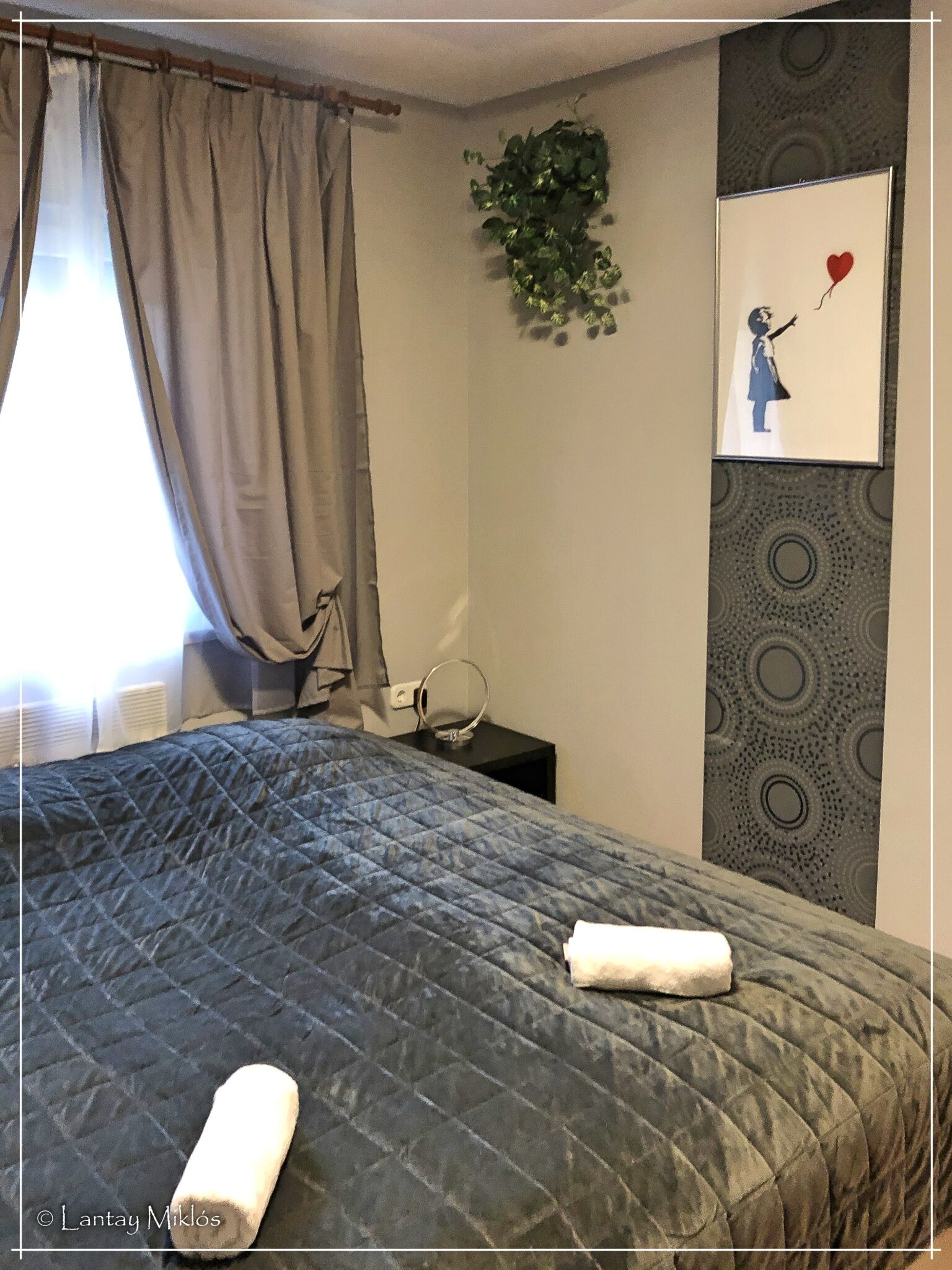 Csi - Pet Apartman – Kehidakustány fotó 14