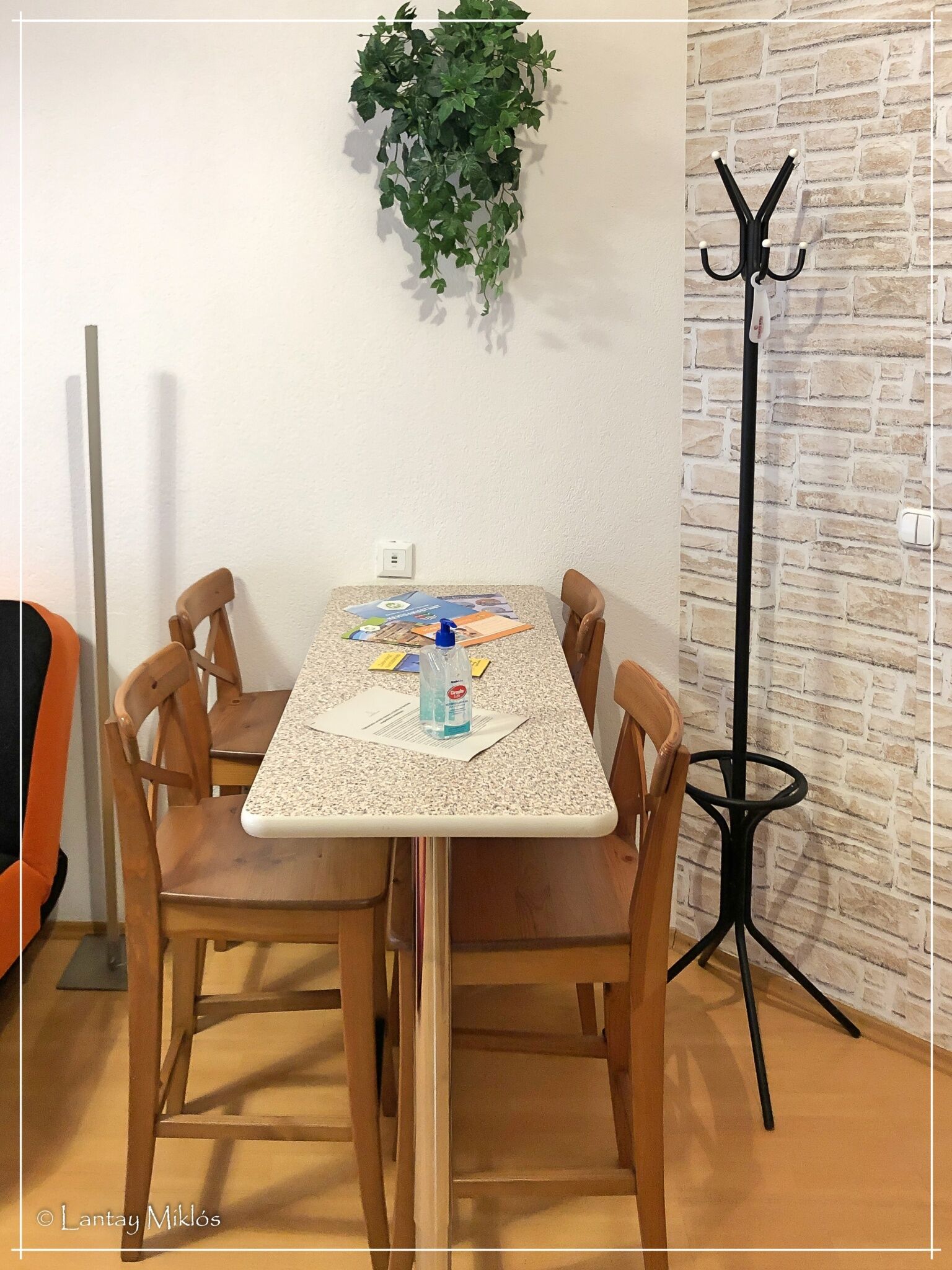 Csi - Pet Apartman – Kehidakustány fotó 17