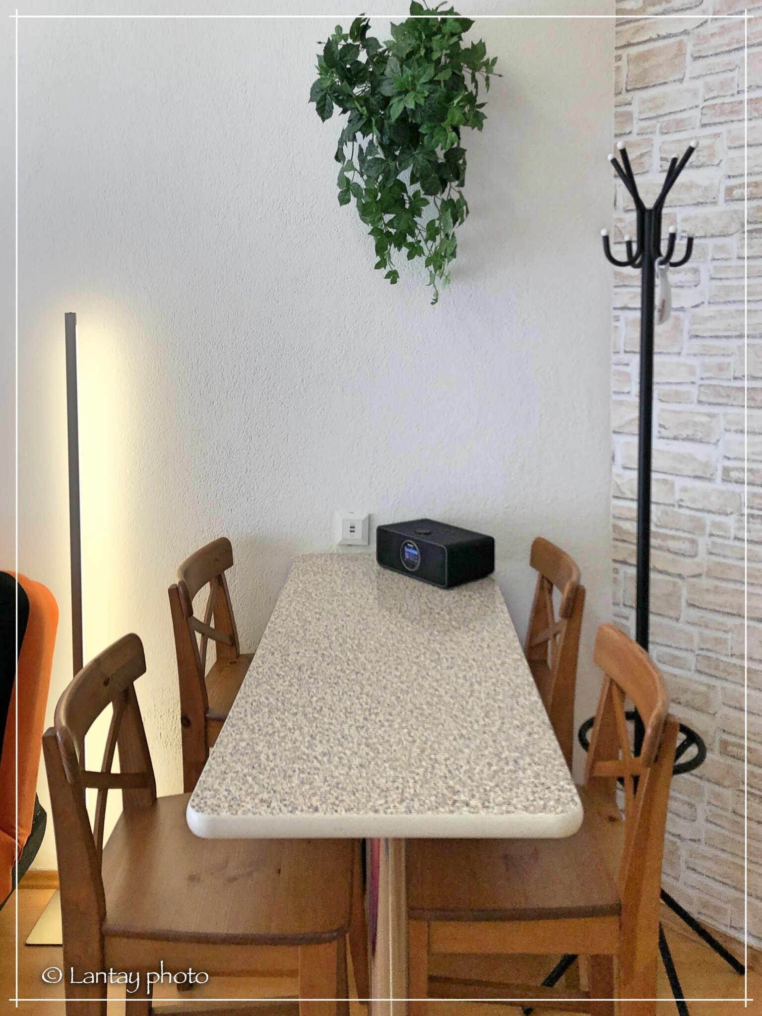 Csi - Pet Apartman – Kehidakustány fotó 30