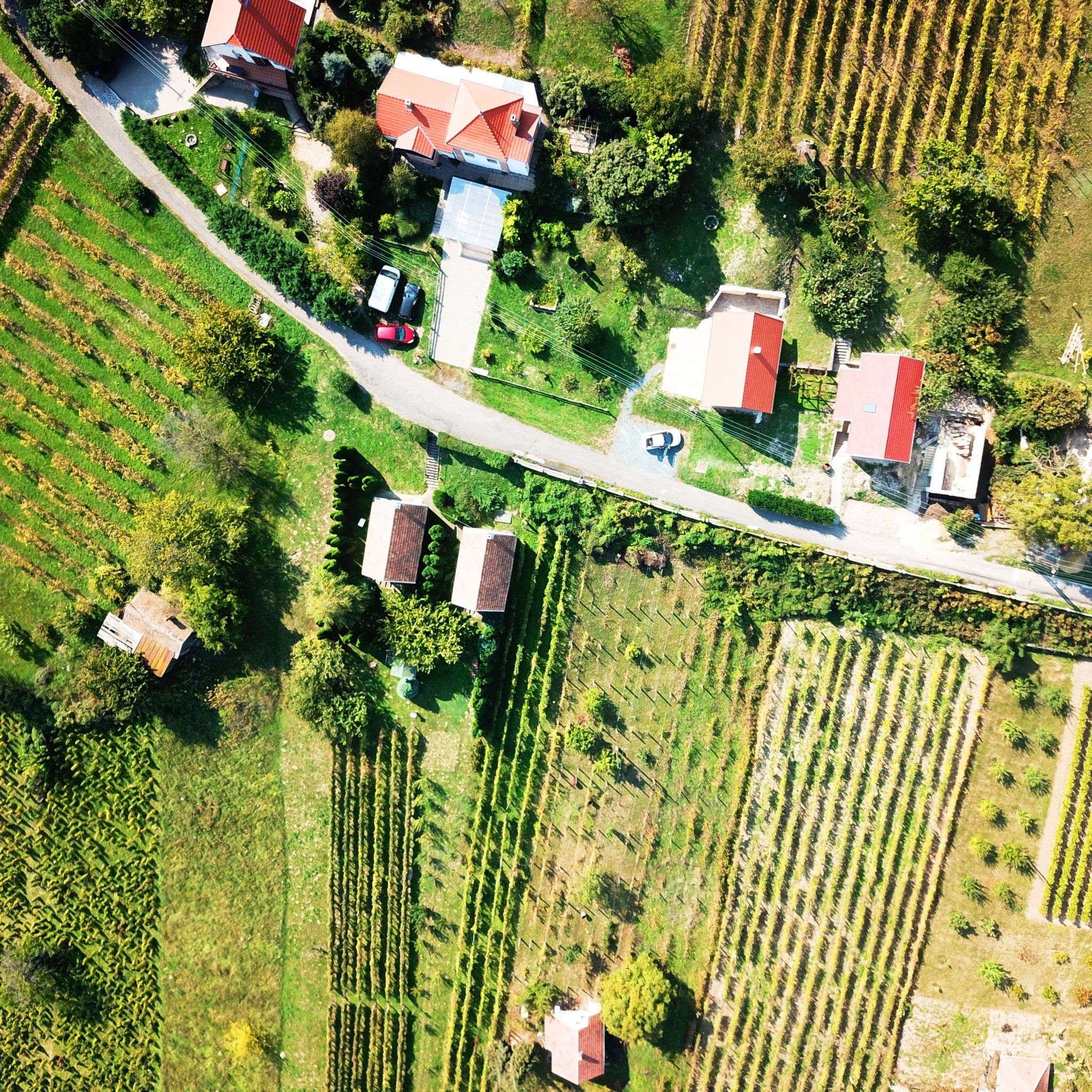 Vulkán Wine Resort Moscato Vendégház – Celldömölk fotó 23