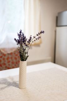 Menta Apartman31