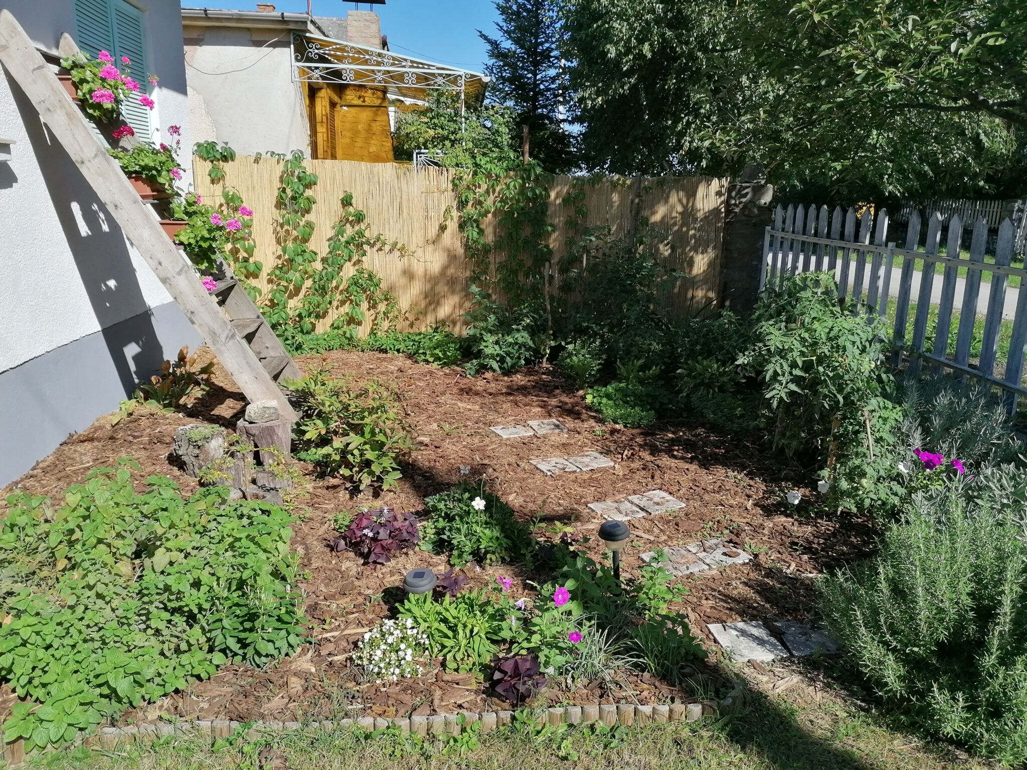 Menta Apartman – Mezőkövesd fotó 48