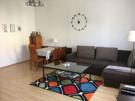 Comfort Apartment2