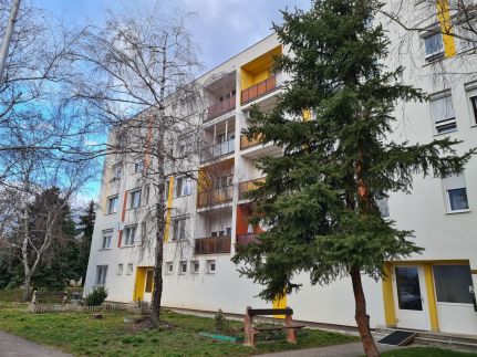 Delux Apartman4