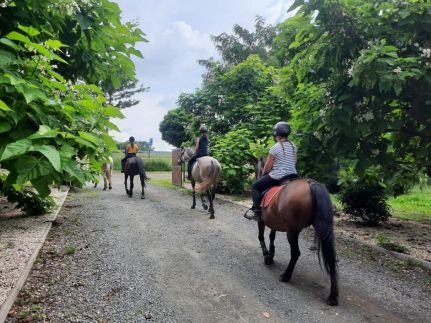 Caballus Lovasmajor Panzió13