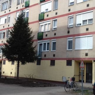 Szilfák Apartman1