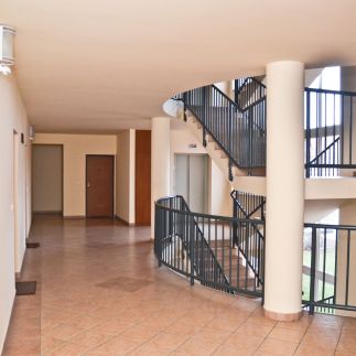 Steven Apartman3